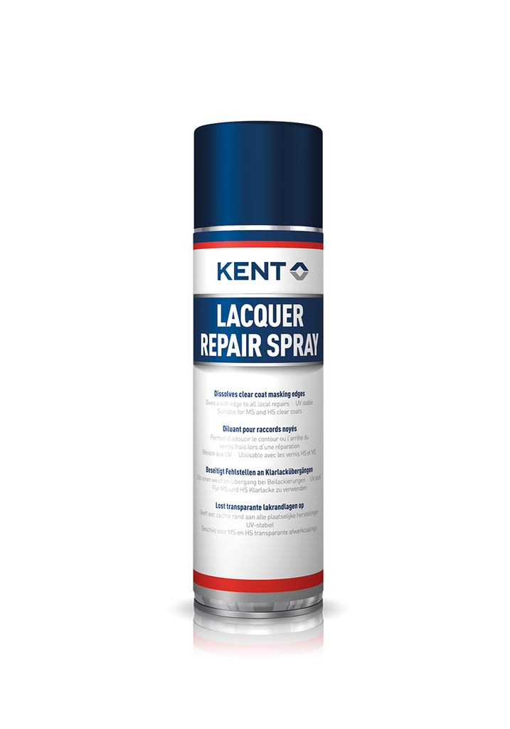 Lack Repair Spray